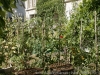 DSC00264_DxO