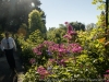 DSC00272_DxO