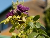 DSC00274_DxO