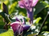 DSC00277_DxO_2
