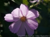 DSC00282_DxO
