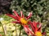 DSC00287_DxO
