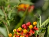 DSC00330_DxO