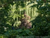 DSC00294_DxO