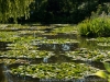 DSC00313_DxO