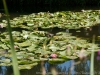 DSC00323_DxO