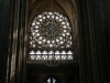 DSC00390_DxO
