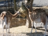 DSC00422_DxO