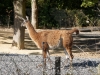 DSC00424_DxO