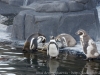 DSC00426_DxO