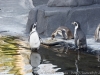 DSC00437_DxO_1
