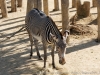 DSC00442_DxO