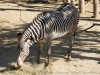 DSC00444_DxO