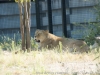 DSC00446_DxO_1