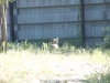 DSC00449