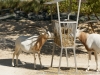 DSC00457_DxO