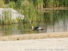 DSC00472_DxO