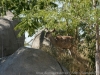 DSC00480_DxO