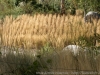 DSC00493_DxO