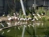 DSC00495_DxO