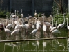 DSC00497_DxO