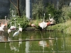 DSC00498_DxO