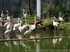 DSC00501_DxO