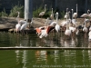 DSC00504_DxO