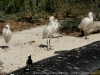 DSC00512_DxO