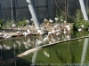 DSC00519_DxO