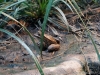 DSC00529_DxO