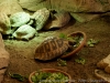 DSC00534_DxO
