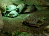 DSC00537_DxO