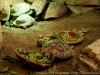 DSC00539_DxO