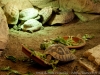 DSC00541_DxO