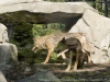 DSC00560_DxO