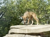 DSC00563_DxO