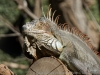 DSC00584_DxO