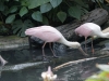 DSC00619_DxO