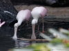 DSC00626_DxO