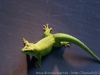 DSC00634_DxO