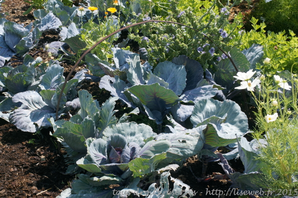 DSC00671_DxO