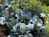 DSC00671_DxO