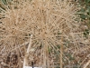 DSC00685_DxO