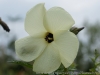 DSC00693_DxO