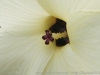 DSC00697_DxO