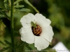 DSC00702_DxO