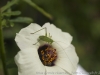 DSC00709
