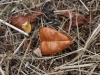 DSC00736_DxO