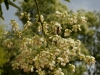 DSC00741_DxO